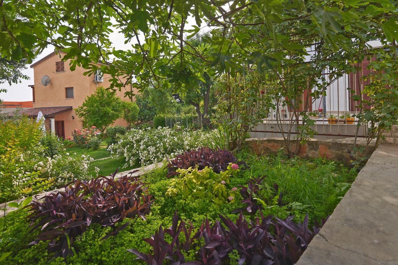 Munat In Liznjan * Istrien Exterior photo